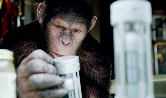 In this image released by Twentieth Century Fox, Caesar the chimp, a CG animal portrayed by Andy Serkis is shown in a scene from "Rise of the Planet of the Apes ." (AP Photo/Twentieth Century Fox).