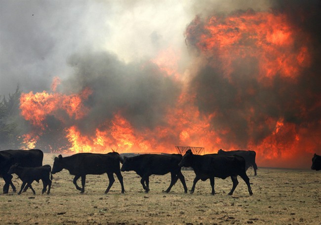 Wildfires burn dozens of homes in Oklahoma City, North Texas amid ...