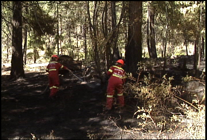 Peachland fires appear suspicious | Globalnews.ca