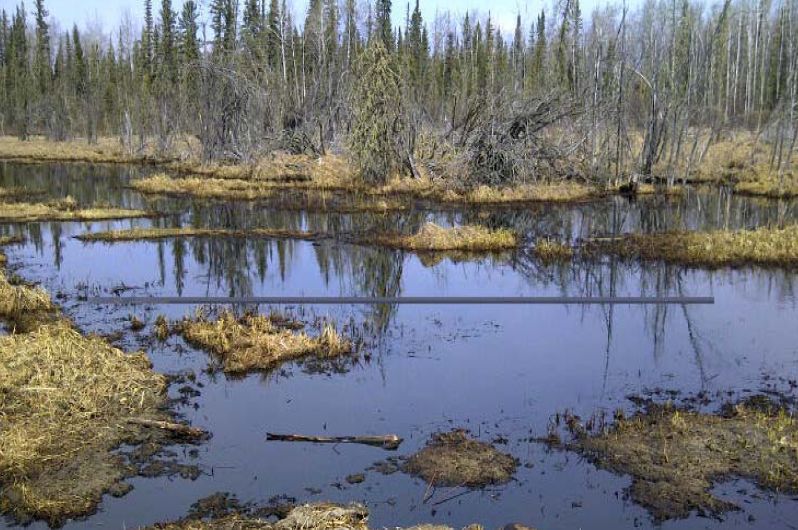 Alberta conditionally approves Rainbow pipeline restart after massive spill - image
