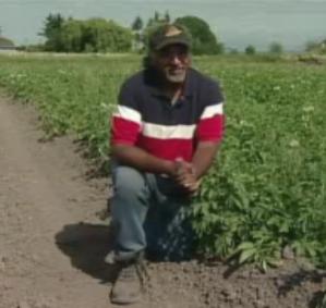 Surrey man leaves corporate world, starts charity farm - image
