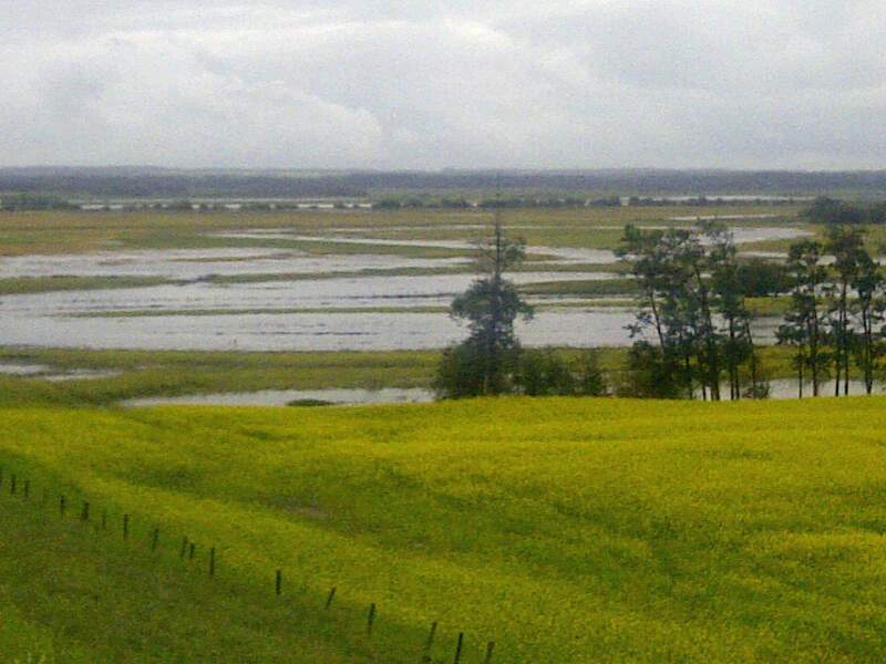 Alberta government commits up to $34M to help flood recovery - image