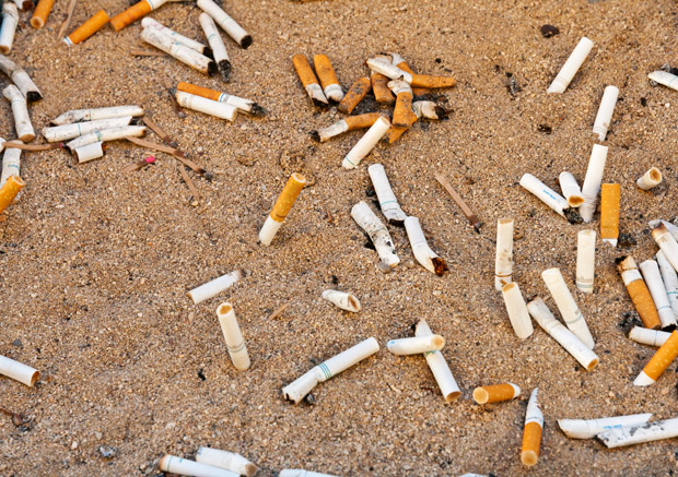 Cigarette butts on the ground.
