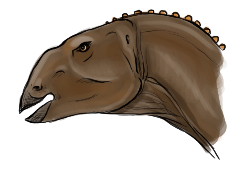 New dinosaur species discovered in Alberta - image