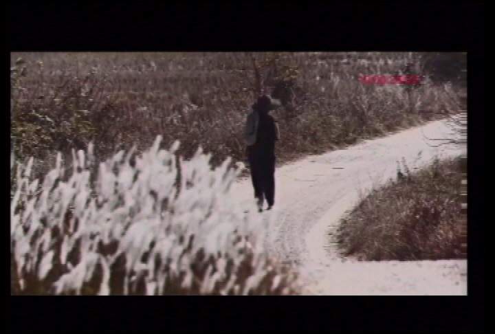 Documentary shines light on Chinese-Canadian experience - image