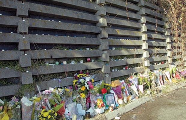 Thieves target Coquitlam roadside shrine - image