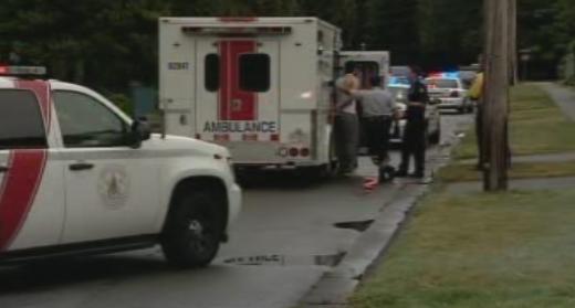 Reports of shots fired near B.C. Terry Fox Run - image