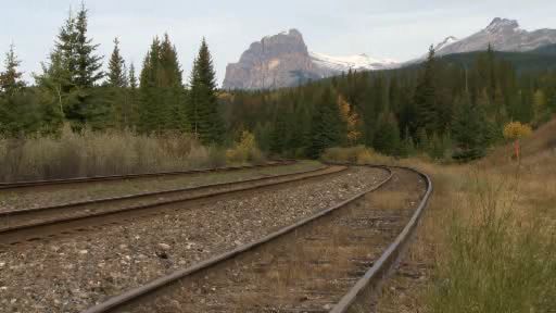 Bicyclist struck by oncoming train - image