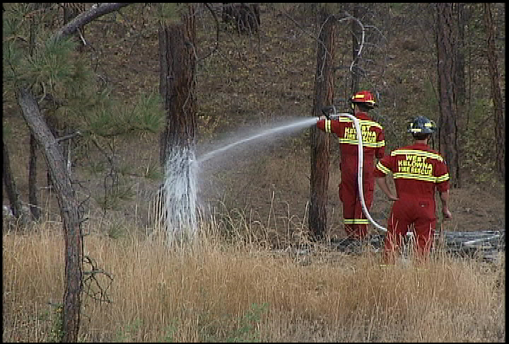 West Kelowna grass fire extinguished quickly | Globalnews.ca