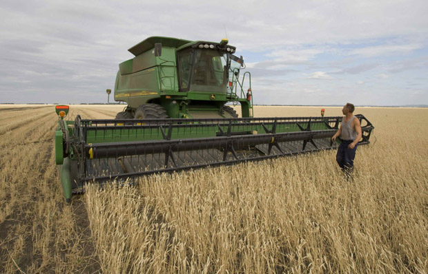 Feds to introduce Canadian Wheat Board bill today - image