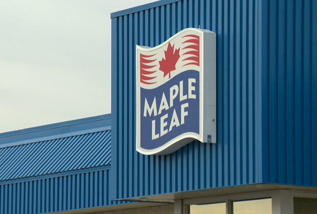 Maple Leaf Foods is cutting more than 400 salaried jobs in a move to cut costs and streamline the organization.