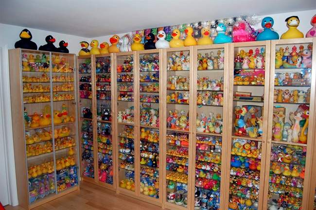 This undated photo courtesy of Charlotte Lee shows Lee's duck collection in the basement of her home in Wa. The University of Washington engineering professor is in the Guinness World Records for her rubber duck collection. All 5,239 of them and counting. (AP Photo/Charlotte Lee).