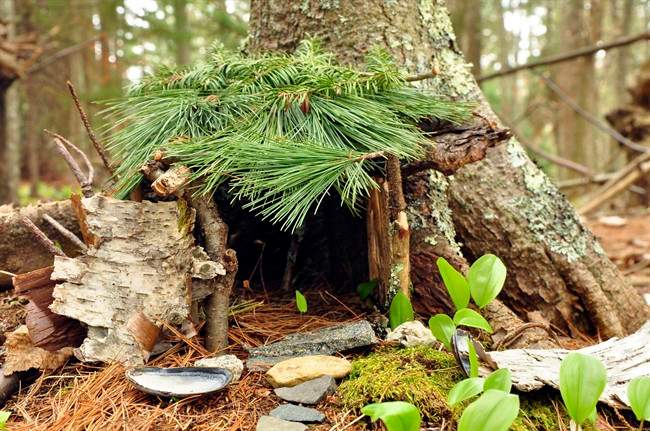 This undated photo courtesy of Coastal Maine Botanical Gardens/William Cullina shows a fairy garden in the woods at the Coastal Maine Botanical Gardens in Boothbay, Maine. Fairy Gardens can be grown in boxes and bowls atop tables or secreted outdoors beneath trees, bushes and larger-sized gardens. (AP Photo/Coastal Maine Botanical Gardens, William Cullina).