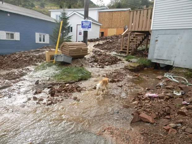 Belleoram, N.L. mayor blames storm damage on culverts that couldn’t handle Ophelia’s rain - image