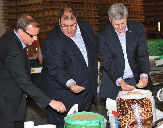Premier Brad Wall, left, Murad Al-Katib, President of Alliance Grain Traders and Prime Minister Stephen Harper hold some of the grain samples at Saskcan Agtech in Regina on Friday Oct. 7, 2011. Harper was on hand as the Alliance Grain Traders Inc. announced plans to build a new durum wheat and pulse milling facility. THE CANADIAN PRESS/Roy Antal.