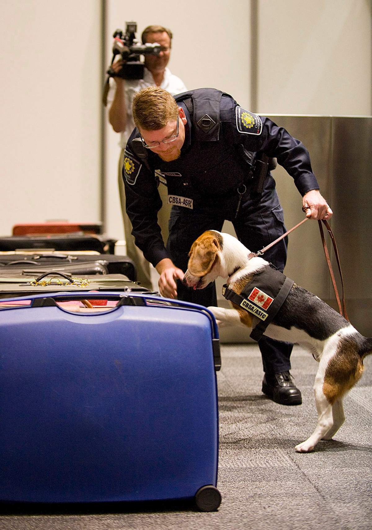 CBSA sniffer dog