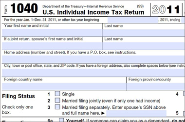 U.S. tax rules for expats too complex to obey, IRS watchdog says - image
