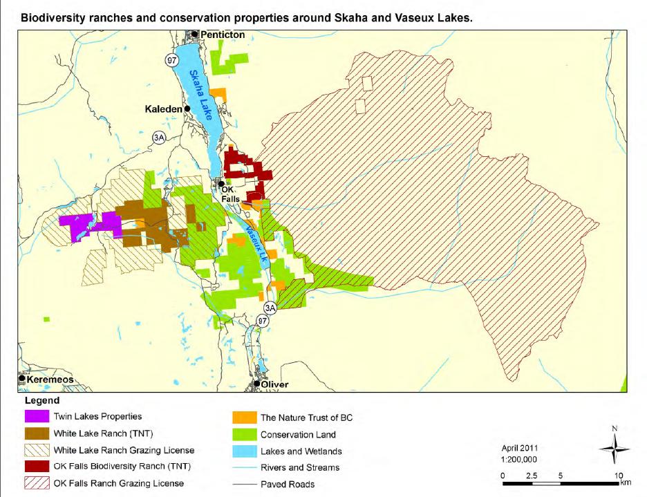 Environmental group raising money to buy South Okanagan grassland property - image