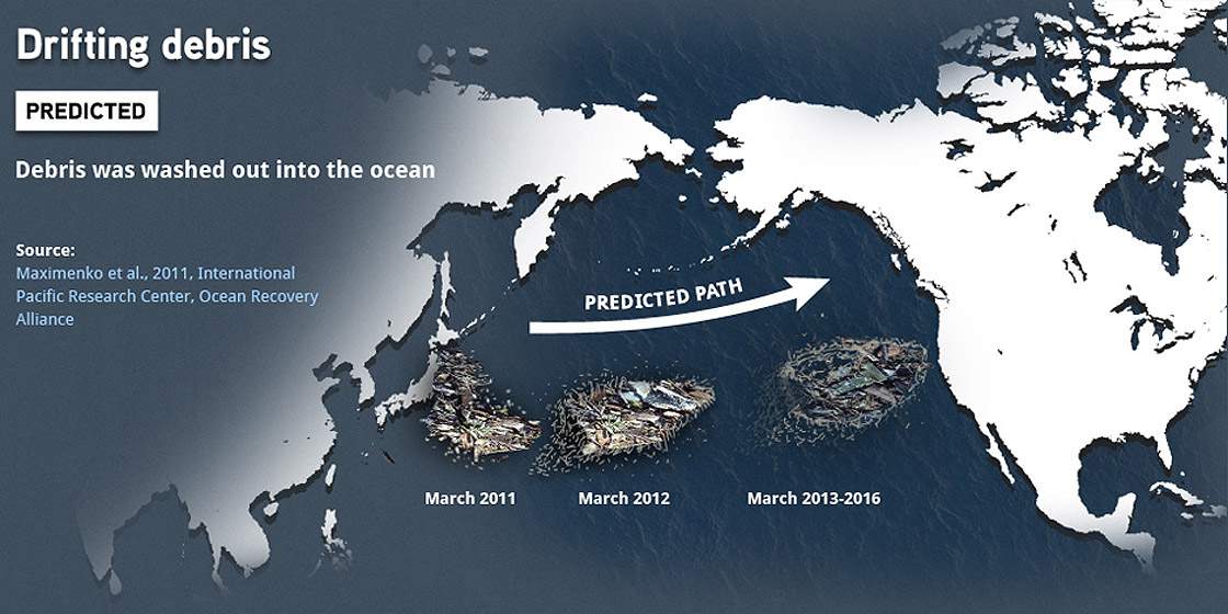 Infographic: Japan debris predicted