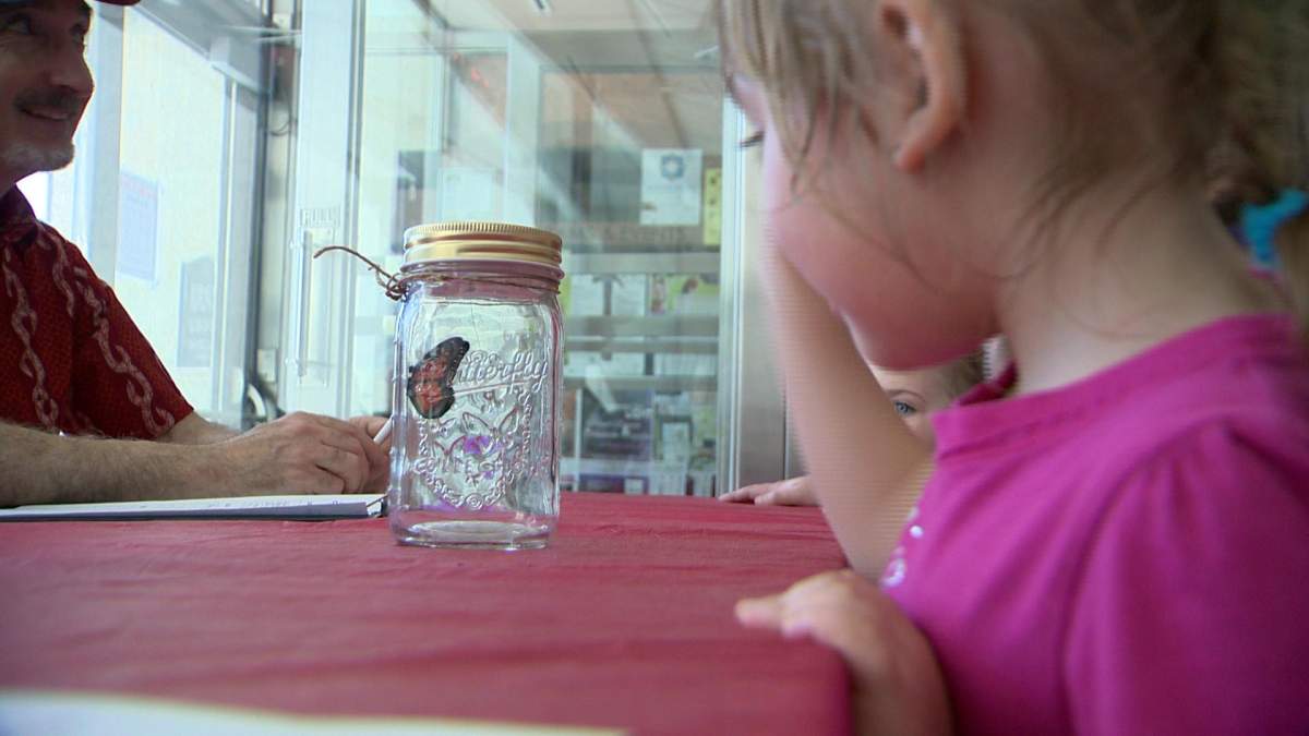 Saskatchewan environment advocates say more action is needed - image