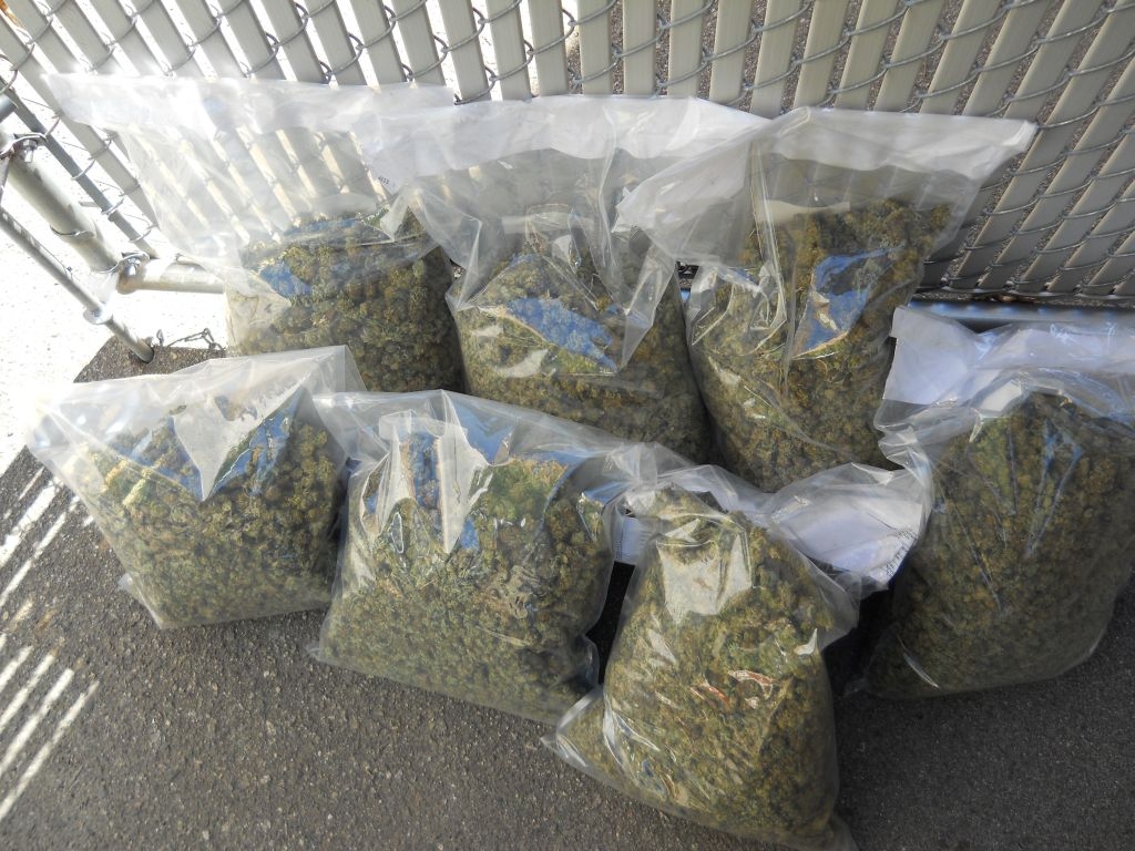 Vernon council endorses legalizing pot - image