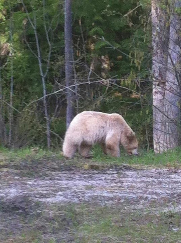 Edmonton mom shares top picks for city spray parks - image