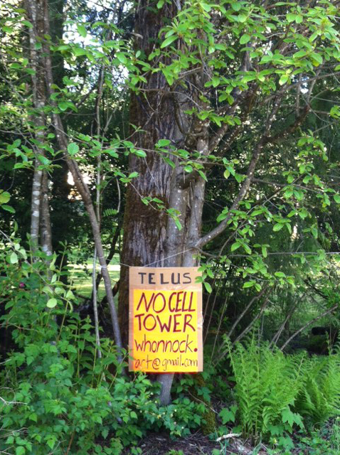 Concerned citizens say ‘no’ to proposed Maple Ridge cell tower location - image