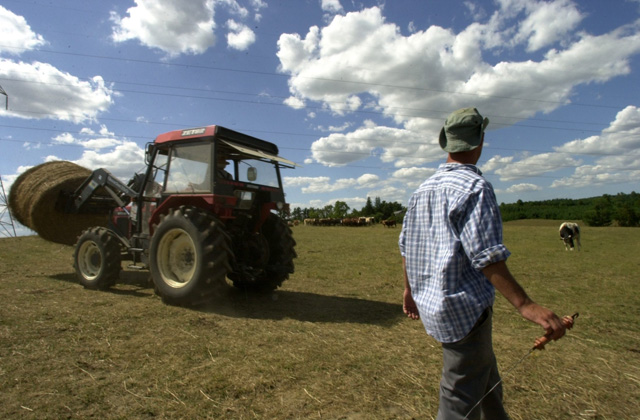 Organic farms are on the decline in province - image