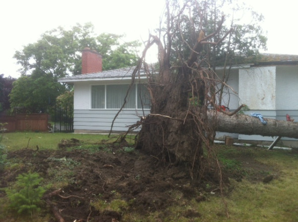 Gallery: Storm Aftermath In Kelowna, B.c. 