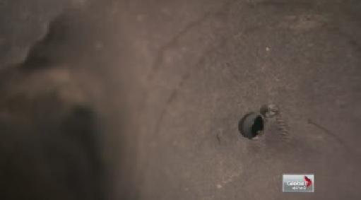 Gas thieves hit car owners in Langley - image