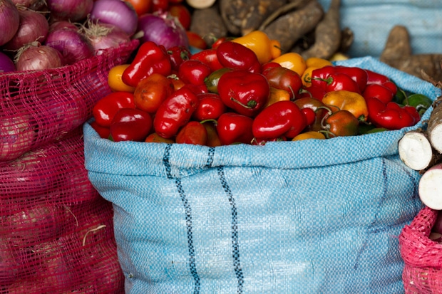 Toronto chefs sink their teeth into raw food diet - image