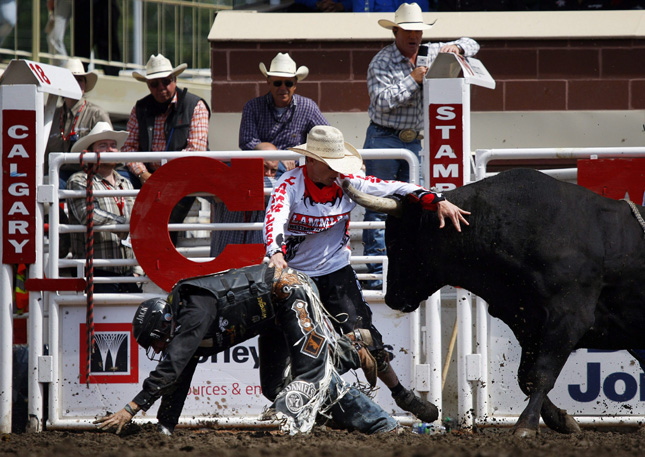 Saskatchewan’s Aaron Roy takes bull riding crown at Calgary Stampede rodeo - image