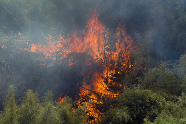 Lightning strikes starting forest fires around province | Globalnews.ca