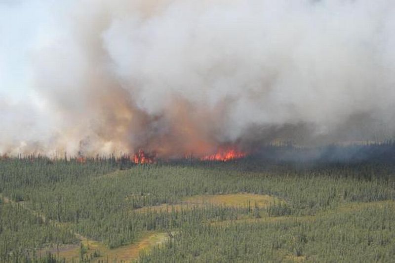 Gallery: Wildfire near Zama City | Globalnews.ca