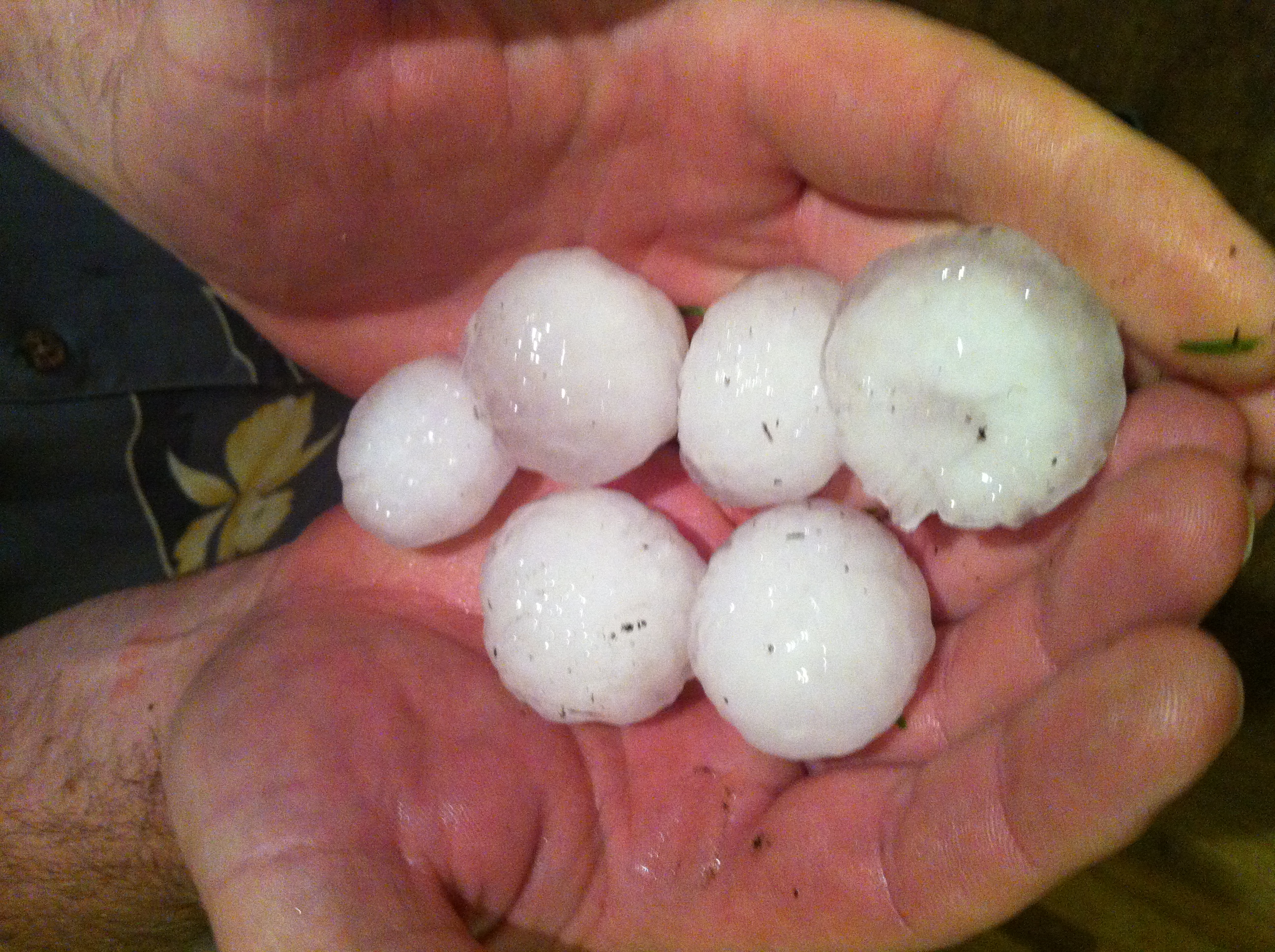 Hail storm damage could run into hundreds of millions | Globalnews.ca