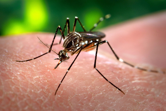 Another reminder to take precautions against West Nile, after mosquitos in Regina tested positive for the virus.