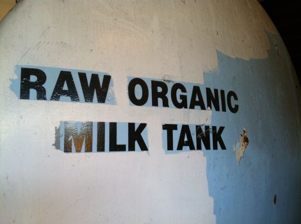 Gallery: Tour of the Avalon Dairy | Globalnews.ca