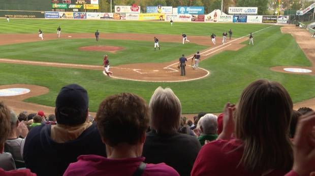 For the love of the game - image