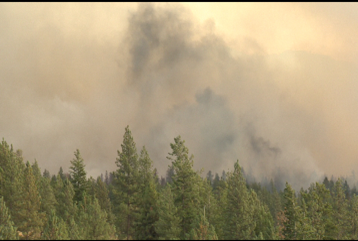 Trepanier interface fire erupts in Peachland | Globalnews.ca