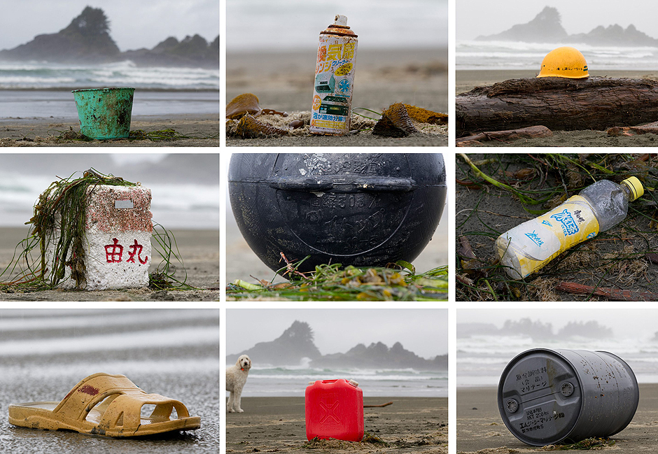 The Japanese government estimated 1.5 million tonnes of tsunami debris was left floating 
in the Pacific Ocean. Since leaving the coast of Japan it has been widely dispersed by 
ocean currents and winds. 
