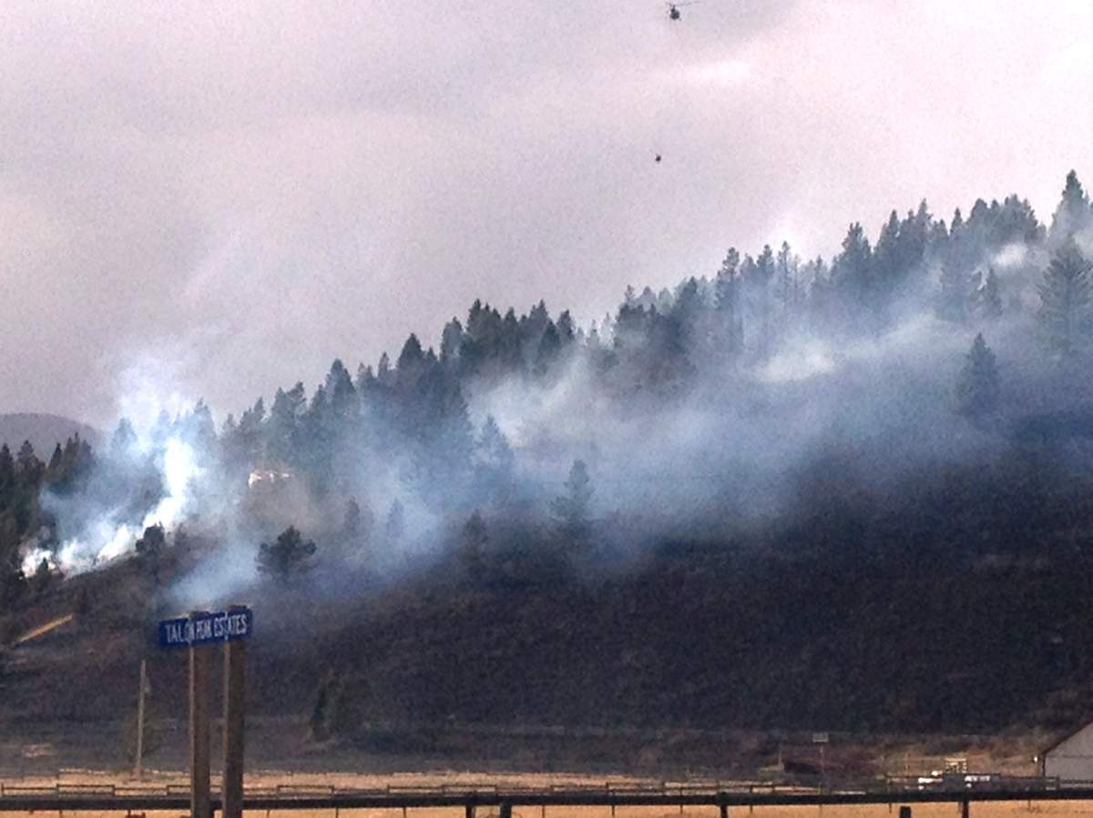 Grassfire in Burmis - image