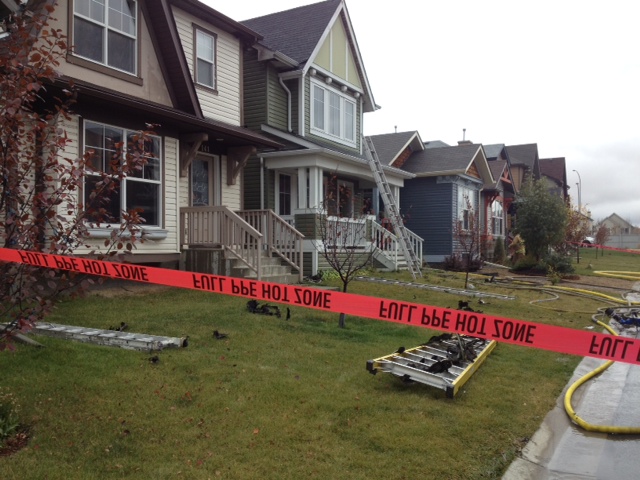 UPDATE & VIDEO: Dog runs back into burning house to save puppies ...
