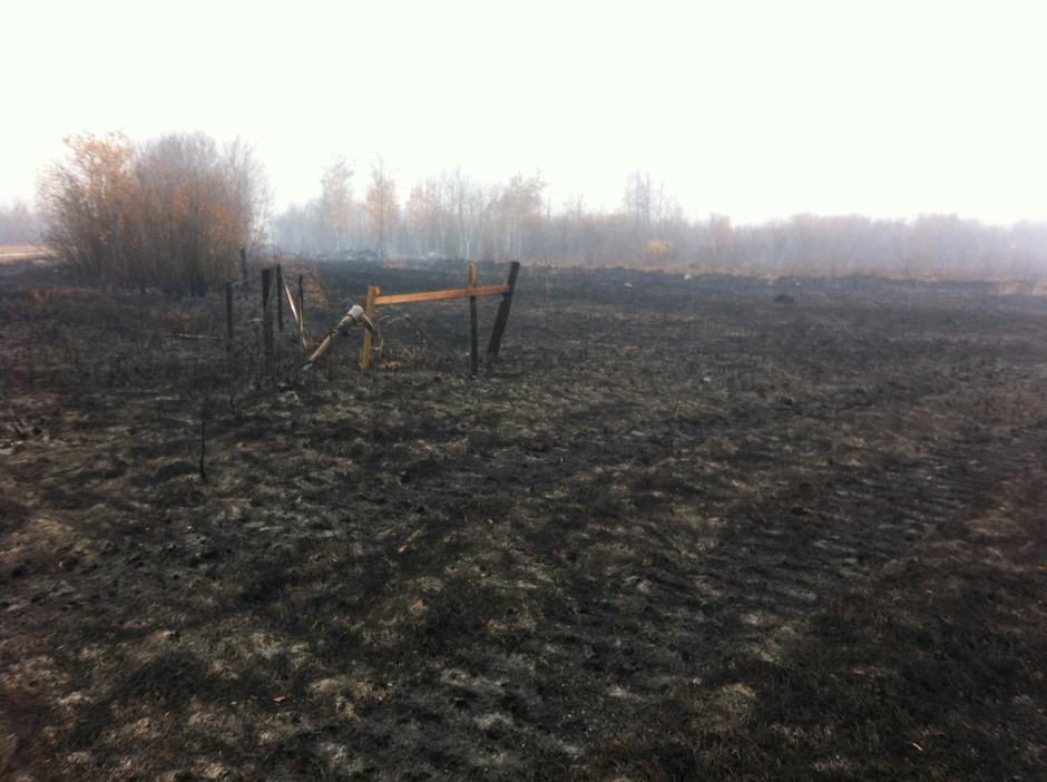 Gallery Southeastern Manitoba Wildfires Globalnewsca