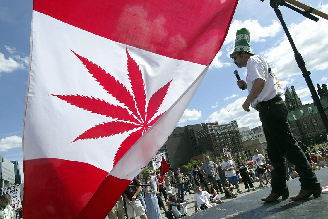 Colorado and Washington State voted to legalize the recreational use of marijuana on Tuesday. Might Canada be next? Experts and activists think it's a possibility.