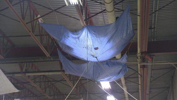 Concerns over facility maintenance of Evraz Place for Agribition - image