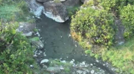 Earthquake empties famed Haida Gwaii hot springs - image