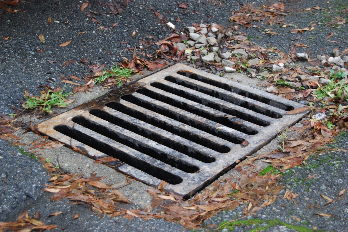 A man was found naked in a storm drain in Trenton on Sunday night.