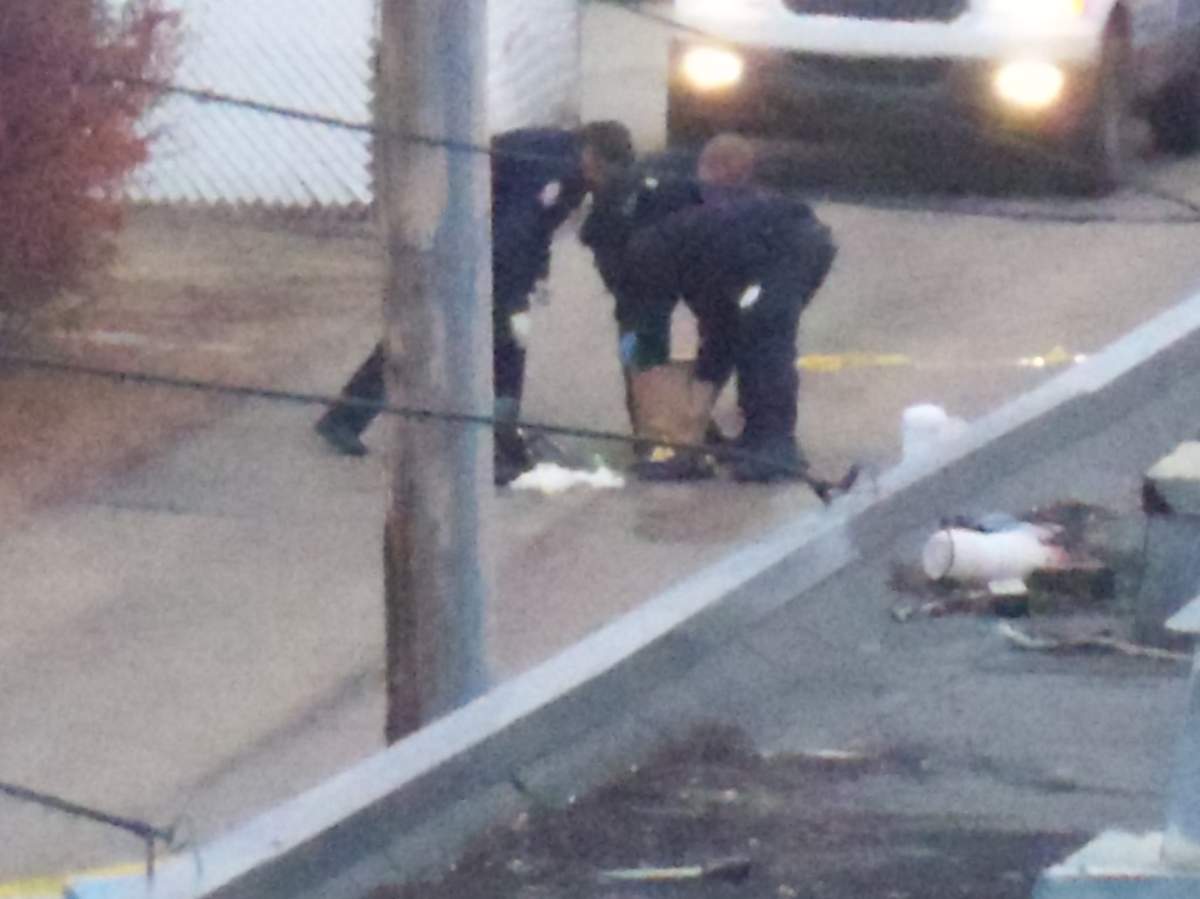 RCMP arrest four suspects in three homicides in Alberta and Saskatoon - image