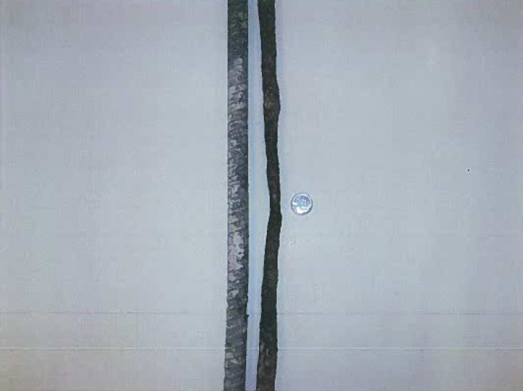 Corroded steel in the Gardiner