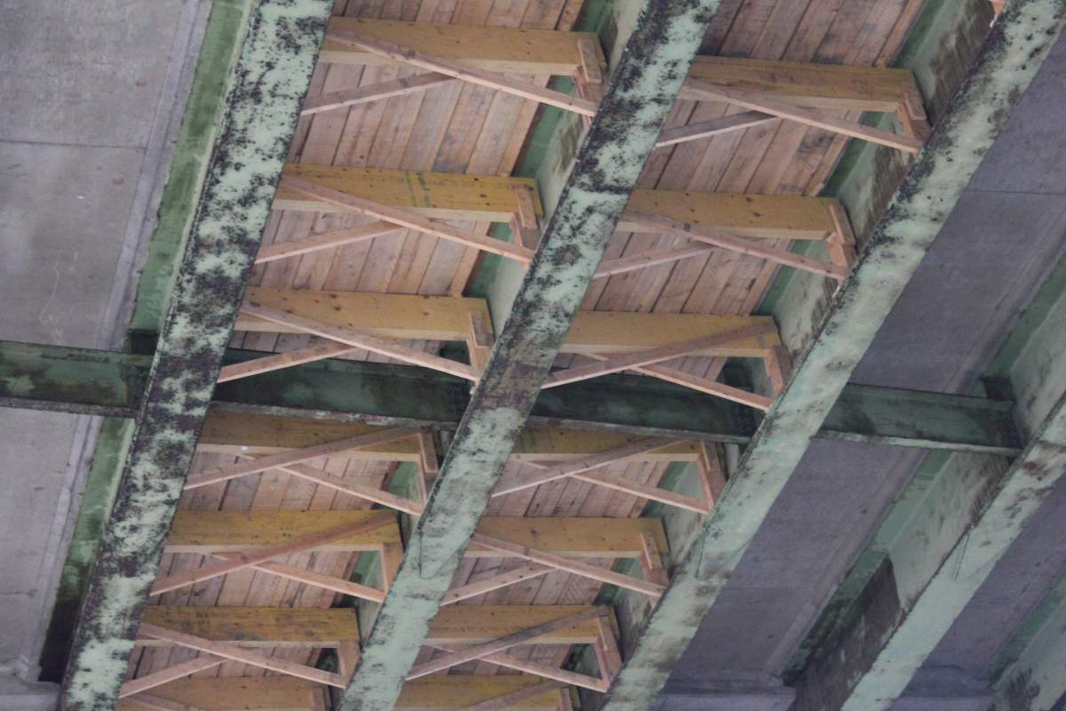 Timber support structure under Gardiner